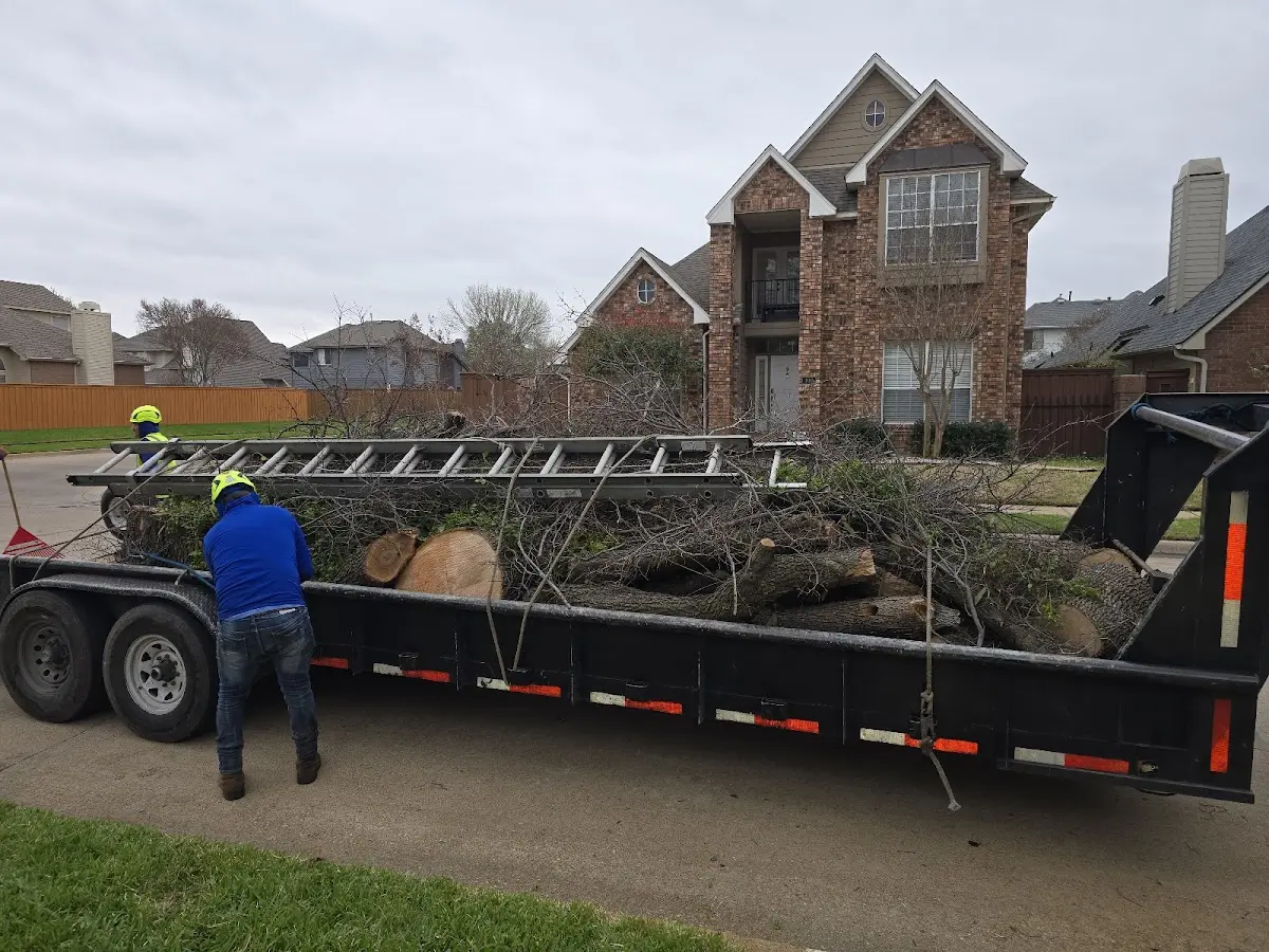 Expert Tree Fertilization with proper safety equipment in Morristown
